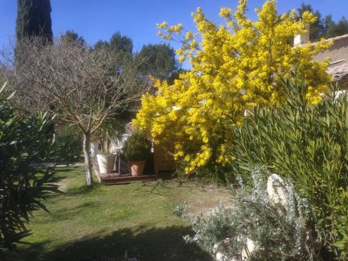 La Campanette en Luberon -Piscine privée