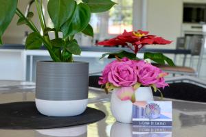 La Company Des Concierges : Villa Family