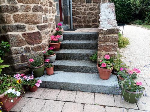 Maison de vacances Villa La Côte du Chat 3* en Bretagne romantique 20 Rue de la Motte Hédé
