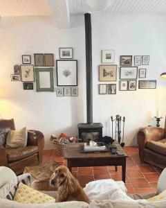 Villa La Maison de Mama C: Charming french village home 51 Petite Rue 11230 Sainte-Colombe-sur-lʼHers Languedoc-Roussillon