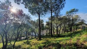 La maison de vacances de Campoussin