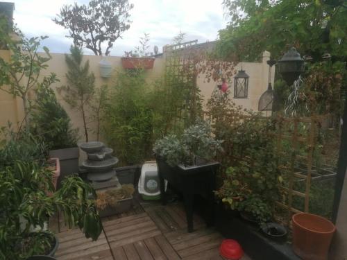 La maison ouverte avec cheminée extérieure et SPA