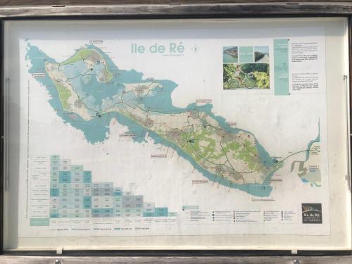 La rose trémière