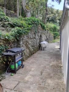 La vagolo