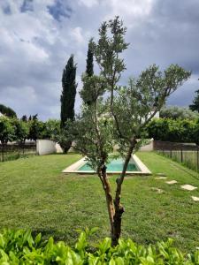 La Villa l Orangerie