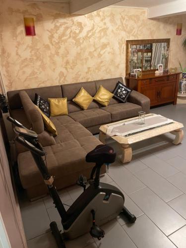 -LE BOURDEAU- CHARMANTE VILLA JONAGE 15 min de LYON