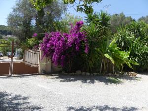 Le Clos des Anges