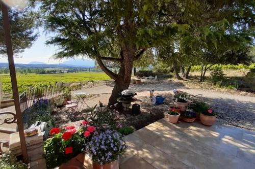 Le clos des pins, vue mont Ventoux
