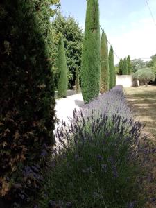 Le festival d'Avignon à pied ou à vélo depuis une Magnifique propriété