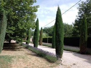 Le festival d'Avignon à pied ou à vélo depuis une Magnifique propriété