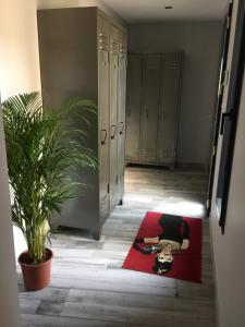 Le jardin des Arums