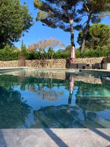 Le jardin sur la colline