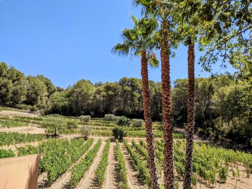 Le Mas du Vigneret - Amazing landscape of Provence