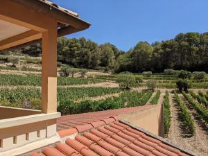 Le Mas du Vigneret - Amazing landscape of Provence