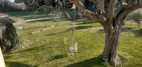 LE PETIT MAS 8 pers entre provence et camargue