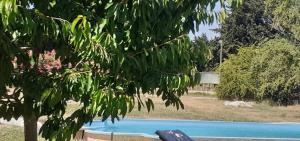 LE PETIT MAS 8 pers entre provence et camargue