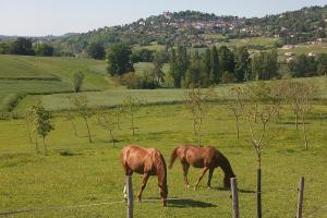 le Pigeonnier