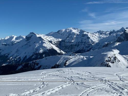 Appartement Villa Le Ponteil 17 Chemin de Pied de Ponteil Les Deux Alpes