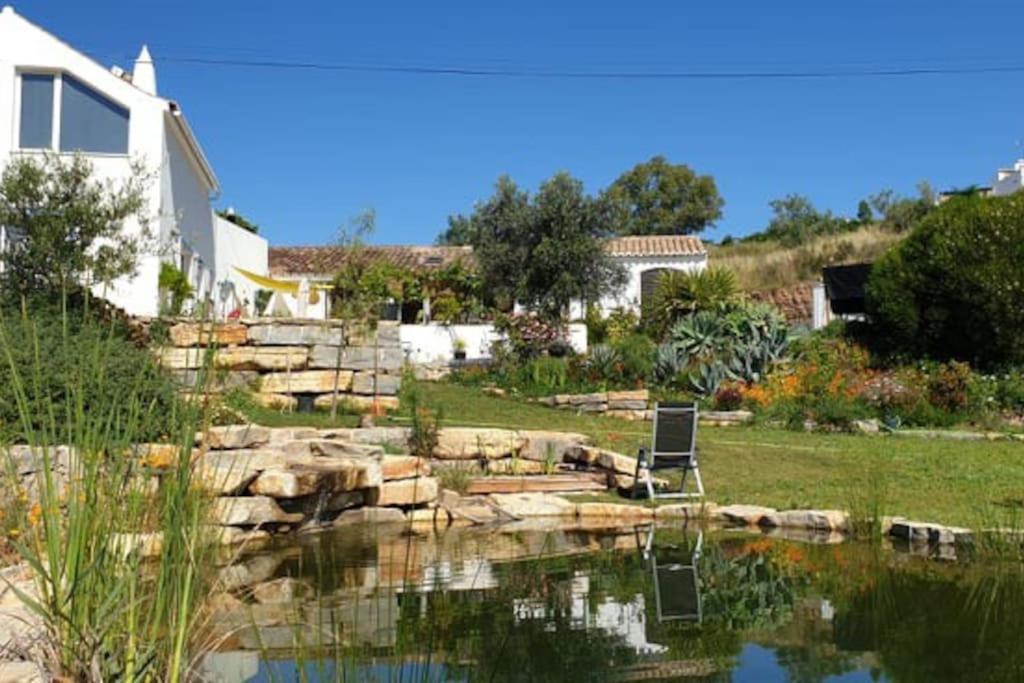 Lemontree house set in the countryside. Porto carvalhoso Santa catarina fonte do bishpo, 8800-166 Água de Tábuas