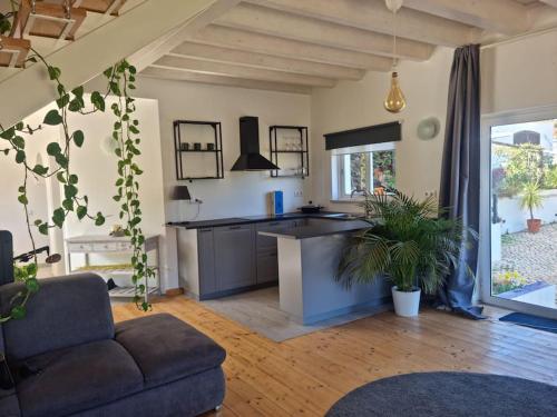 Lemontree house set in the countryside.