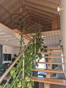 Lemontree house set in the countryside.