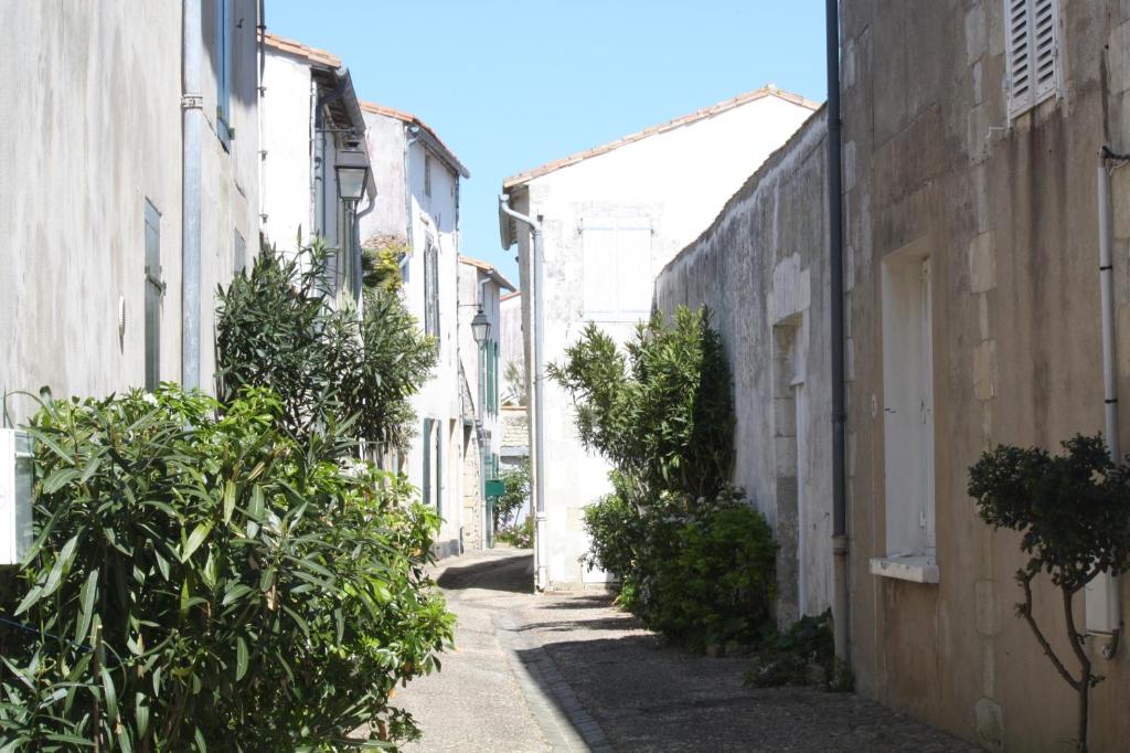 Les Chardons, Les Chardons 14 rue Etienne d'Hastrel, 17410 Saint-Martin-de-Ré