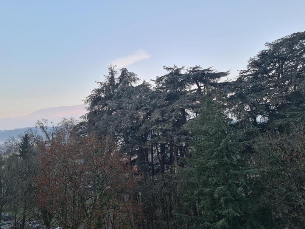 Les Villas aux portes de l'Océan