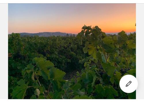 Limoux Villa