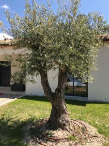 Location villa entre lac et océan avec son spa de nage