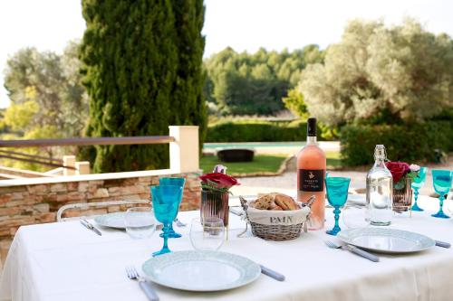 Luxueux Mas provencal immérgé dans la nature