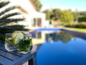 Luxury villa in Cannes with swimming pool & sea view