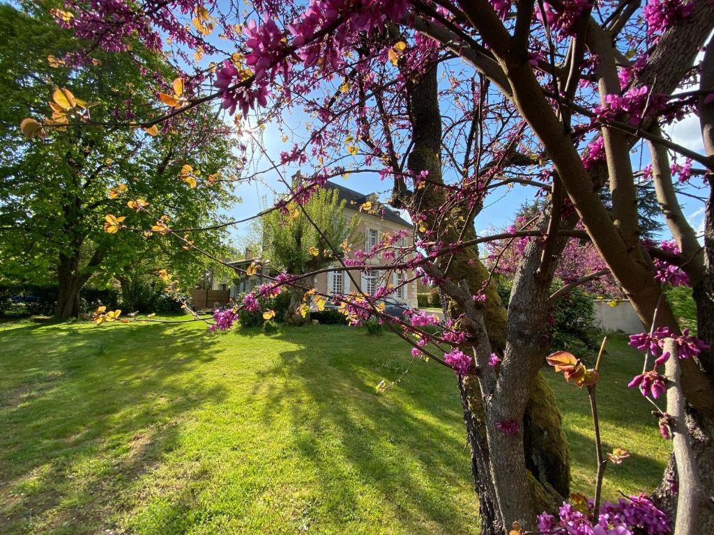 Luxury villa with heated private swimming pool in grounds walking distance from Malauc ne