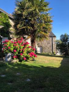 Magnifique longère du Cotentin