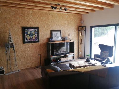 Magnifique villa avec jacuzzi et billard