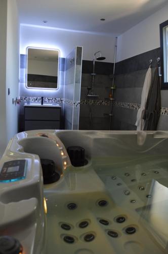 Magnifique villa avec jacuzzi