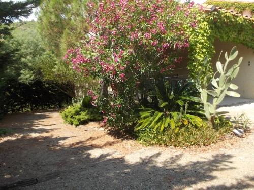 Magnifique villa piscine billard Great villa swimming pool