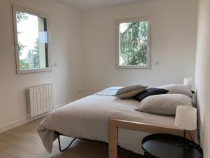 Maison 12 personnes à 20mn Lyon / 25mn eurexpo