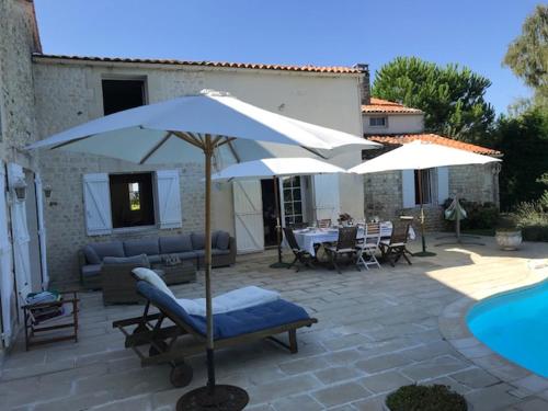 Maison ancienne avec piscine au milieu des vignes
