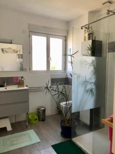 Maison au bord de l'étang de Thau- Sète