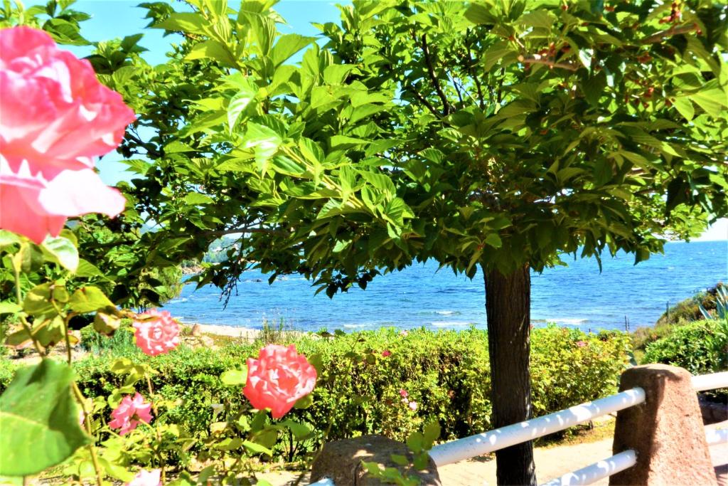 Maison avec jardin, véranda, WIFI à 400m de la mer à PERROS-GUIREC Réf - 321
