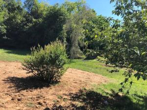 Maison de campagne rénovée avec piscine