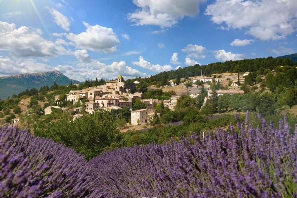 Maison de charme au calme, nature, belle piscine