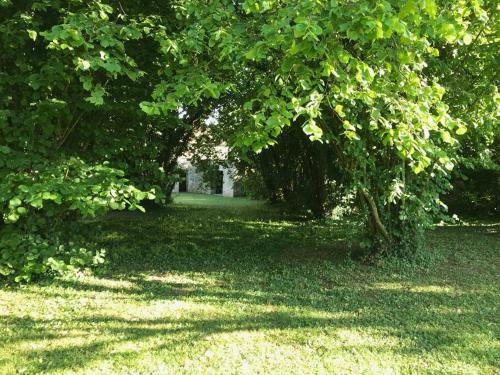 Maison de charme avec cheminées et parc ombragé