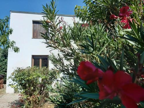 Maison de ville avec jardinet