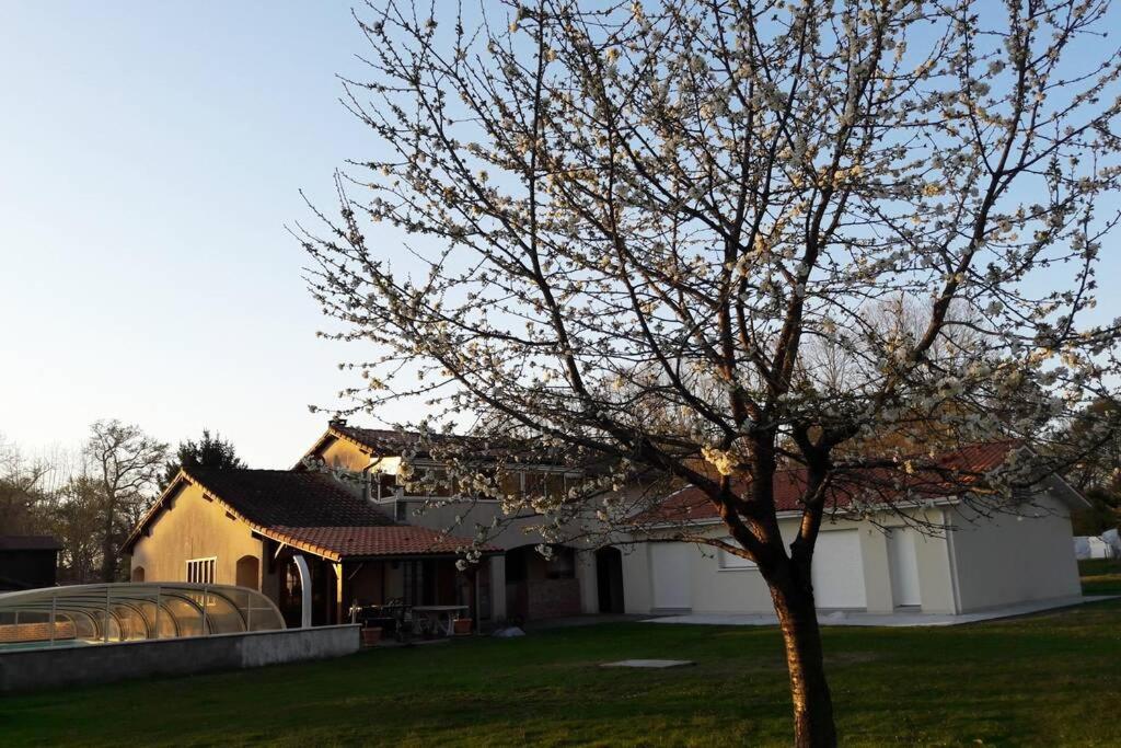 Villa Maison équipée balnéothérapie et salle de sport 90 Chemin de la Gare 40090 Saint-Avit