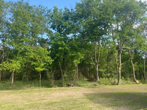Maison Grands Espaces Calme Jardin/Bois proche 24h du Mans