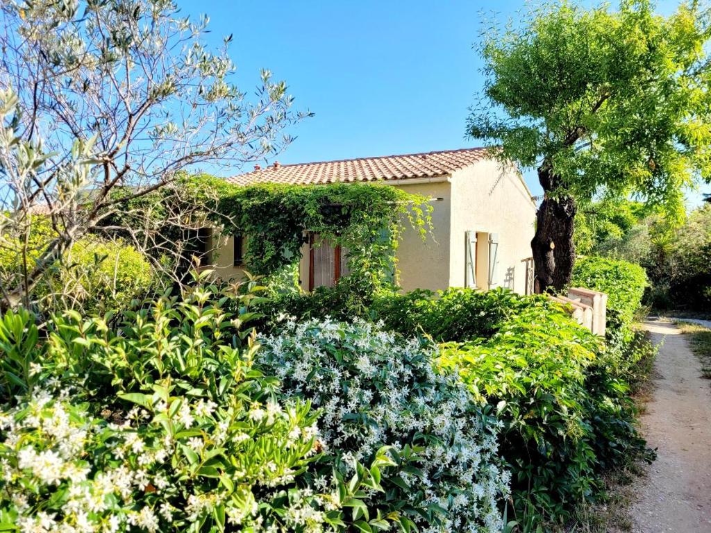Maison jardin grande piscine , sortie bateau possible 13008 Marseille