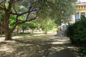 Maison lumineuse et spacieuse avec jardin arboré