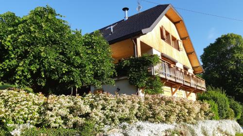Maison typique savoyarde moderne avec SPA