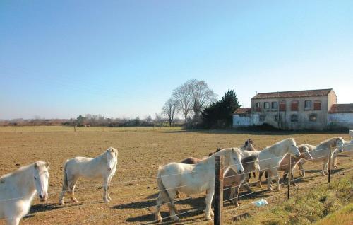 Mas coeur Camargue Saint-Laurent d'Aigouze